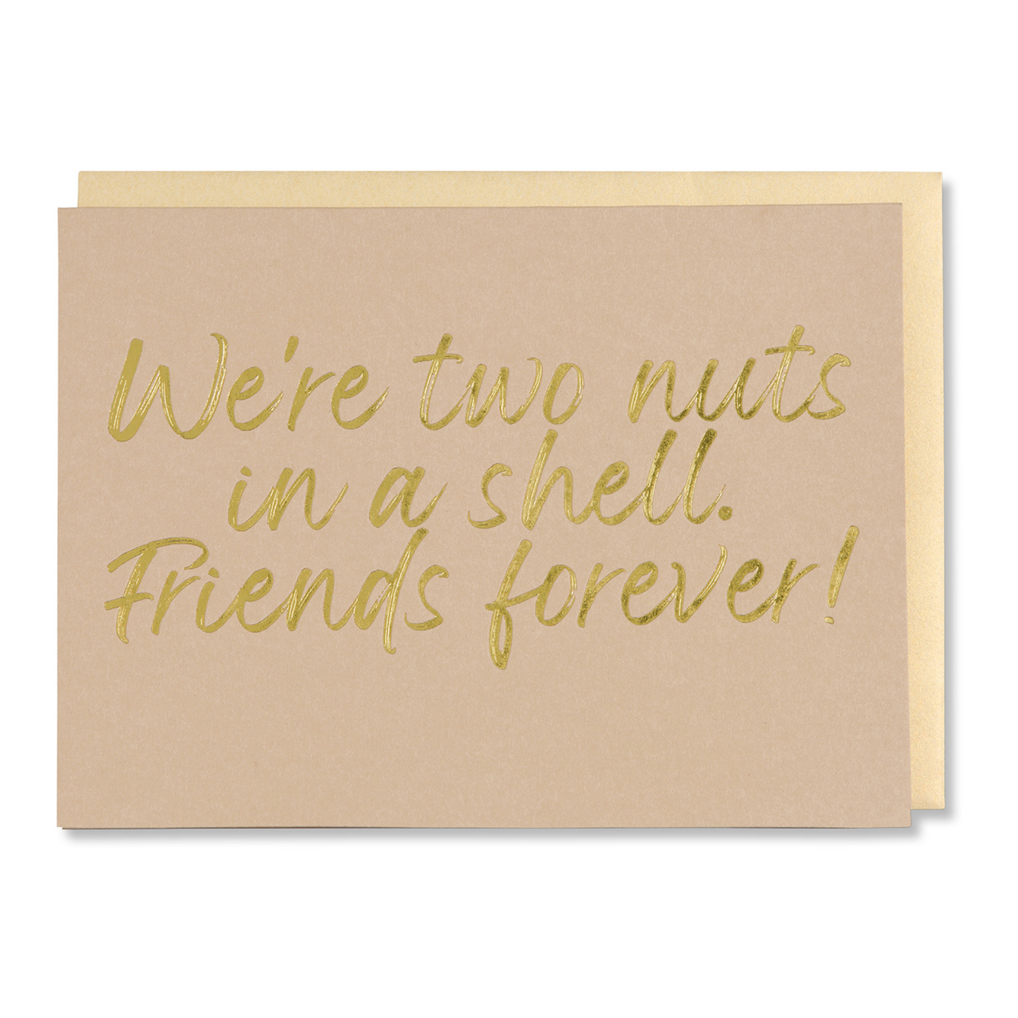 Funny friendship card with message 'We're Two Nuts in a Shell. Friends Forever,' foil stamped on tan paper with gold foil with gold metallic envelope