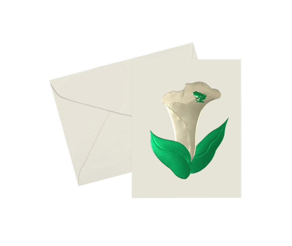 Vintage Flower & Frog Vintage Note Cards